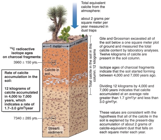 <strong>Figure 14.22   Study Figure 14.22 from your textbook. Approximately how many grams of calcite accumulate in soils per year, according to Gile and Grossman's experiment?</strong> A) 0.2-0.8 B) 1.7-3.0 C) 4.2-5.9 D) 7.8-9.6 <div style=padding-top: 35px> 