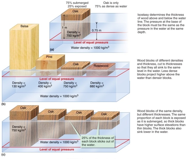 <strong>Figure 13.4 Using Figure 13.4 in your textbook, if comparing equal-weight blocks of each substance, which one would be smallest?</strong> A) mantle B) continental crust (mostly granite) C) oceanic crust (mostly basalt) D) ocean (mostly water)