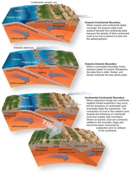 <strong>Figure 12.25 Using Figure 12.25 in your textbook, which of the following is not a normal consequence of an oceanic-oceanic convergent plate boundary?</strong> A) The denser crust subducts the less dense plate. B) Thrust faults lift up above the subduction zone. C) A volcanic island arc forms above where the subducting plate melts. D) A trench forms at the location where subduction begins.