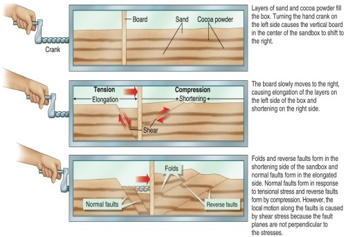 <strong>Figure 11.14   In a sandbox with a crankable division, which of the following may be illustrated?</strong> A) Normal faults fold in the area under compression and reverse faults form where the sand is pressed together. B) Normal faults fold in the area under tension and reverse faults form where the sand is given more space. C) Normal faults fold in the area under compression and reverse faults form where the sand is given more space. D) Normal faults fold in the area under tension and reverse faults form where the sand is pressed together. <div style=padding-top: 35px> 