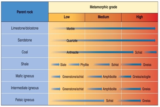 <strong>Figure 6.23   Using Figure 6.23 from your textbook, choose the option that correctly matches parent rocks with possible metamorphic products.</strong> A) shale: gneiss; marble: schist; mafic igneous: amphibolite B) sandstone: quartzite; coal: phyllite; intermediate igneous: greenstone C) shale: slate; limestone: marble; sandstone: quartzite D) felsic igneous: greenstone; limestone: schist; dolostone: marble <div style=padding-top: 35px> 