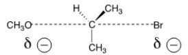 <strong>The reaction of what nucleophile and substrate is represented by the following transition state? </strong> A) Methanol with 2-bromopropane B) Methoxide with 2-bromopropane C) Methoxide with 1-bromopropane D) Methanol with 1-bromopropane