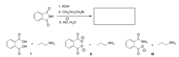<strong>Predict the product(s) of the following reaction. </strong> A) I B) II C) III D) None of the choices