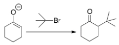 <strong>Why can't you prepare 2-tert-butylcyclohexanone by the following reaction? </strong> A) Because tert-butyl bromide is too basic. B) Because tert-butyl bromide cannot undergo an S<sub>N</sub>2 reaction. C) Because tert-butyl bromide is a nucleophile. D) Because tert-butyl bromide is not a stable compound.