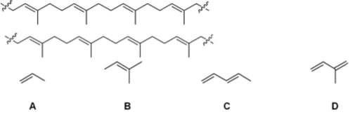 <strong>Which of the following is the monomer that gives the polymer shown below? </strong> A)A B)B C)C D)D