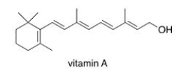 <strong>Which of the following statements about vitamin A, drawn below, is true? </strong> A)Vitamin A is soluble in H<sub>2</sub>O. B)Vitamin A is insoluble in organic solvents. C)Vitamin A contains an aromatic ring. D)Vitamin A is insoluble in H<sub>2</sub>O.
