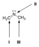 <strong>What is the hybridization for each of the indicated atoms in the following compound? </strong> A)I = sp<sup>2</sup>; II = sp<sup>2</sup>; III = sp<sup>2</sup>. B)I = sp<sup>2</sup>; II = sp<sup>3</sup>; III = sp<sup>3</sup>. C)I = sp; II = sp<sup>2</sup>; III = sp<sup>3</sup>. D)I = sp<sup>2</sup>; II = sp<sup>2</sup>; III = sp<sup>3</sup>.