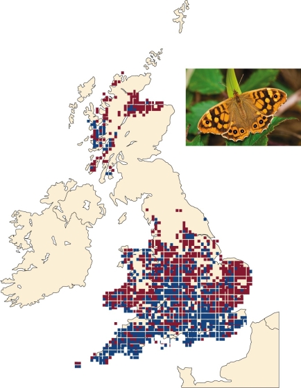 <strong> Data in this figure suggest</strong> A)butterfly populations are declining. B)butterfly habitat is degrading over time. C)butterflies are moving north over time. D)two species of butterflies are evolving over time.