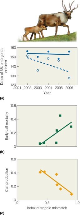 <strong> What does the figure show regarding the emergence of caribou calves and their forage?</strong> A)Calves and forage are emerging earlier. B)Calves are emerging earlier but forage is not. C)Forage is emerging earlier but calves are not. D)Forage and calves are emerging later.