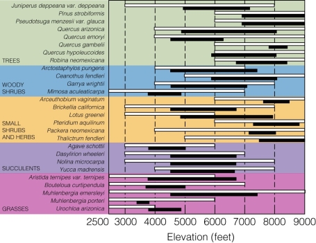 <strong> What does this figure indicate?</strong> A)Species abundances have dramatically declined. B)Species richness has dramatically declined. C)Species have moved higher in elevation over time. D)Species have moved lower in elevation over time.