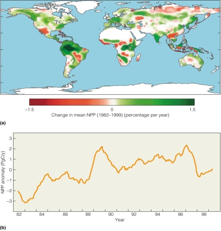 <strong> According to the figure,which area is seen as exhibiting only increases in NPP due to climate change?</strong> A)South America B)Africa C)Australia D)Western Europe