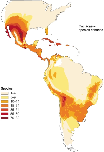 <strong> What does the figure suggest about patterns of biodiversity for particular groups of organisms?</strong> A)Species diversity is highest at the equator. B)Species diversity is highest at the poles. C)Climatic influences are most important in determining areas of higher diversity. D)Diversity patterns are unpredictable.
