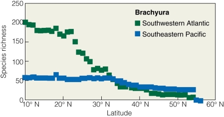 <strong> Which of the following is true for Brachyura marine crabs?</strong> A)Species richness decreases with increasing sea surface temperatures. B)Species richness decreases with NPP. C)Species richness decreases with latitude. D)Species richness decreases with time.