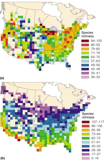 <strong> The figure suggests</strong> A)primary productivity dictates diversity. B)diversity changes seasonally. C)a high gamma diversity. D)birds are more diverse at northern latitudes.