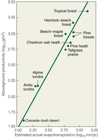 <strong> Which ecosystem has the highest actual evapotranspiration?</strong> A)creosote-bush desert B)tallgrass prairie C)pine forest D)beech-maple forest