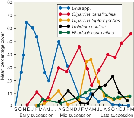 <strong> According to the figure,which species is considered a pioneer species?</strong> A)Ulva spp. B)Gigartina canaliculata C)Gigartina coulteri D)Gigartina leptorhynchos