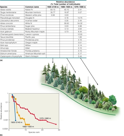<strong> Which elevational gradient has the most species?</strong> A)1920-2140 m B)1680-1920 m C)1370-1680 m D)cannot tell from figure