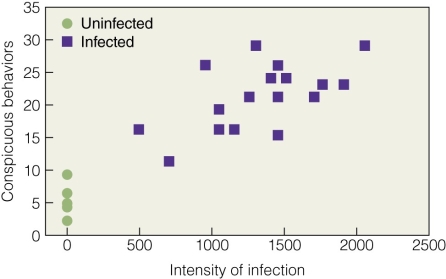 <strong> Which of the following best explains the figure?</strong> A)Conspicuous behavior leads to high infection intensity. B)High intensity infection leads to more conspicuous behavior. C)There is no relationship between conspicuous behavior and infection intensity. D)Only infected individuals exhibit conspicuous behavior.