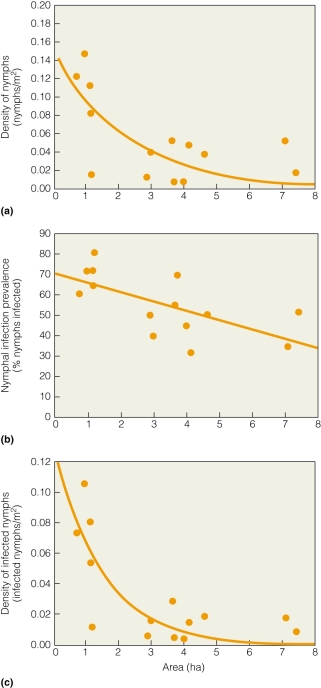 <strong> Which of the following factors is most strongly reduced with increased forest size?</strong> A)density of nymphs B)percent nymphs infected C)density of infected nymphs D)density of deer infected