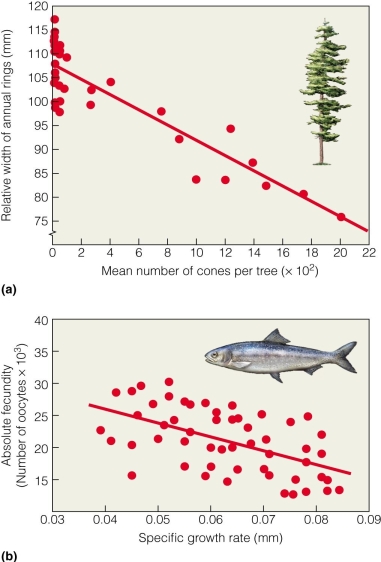 <strong> The data in Figure 10.7 support which of the following trade-offs?</strong> A)the size of offspring is correlated with the number of offspring B)the size of offspring is correlated with the age at maturity C)the number of offspring is correlated with growth D)the number of offspring is correlated with survival