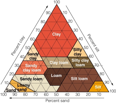 <strong> A soil that is 10% silt,80% sand,and 10% clay would be considered</strong> A)clay loam. B)sandy clay. C)slit loam. D)loamy sand.