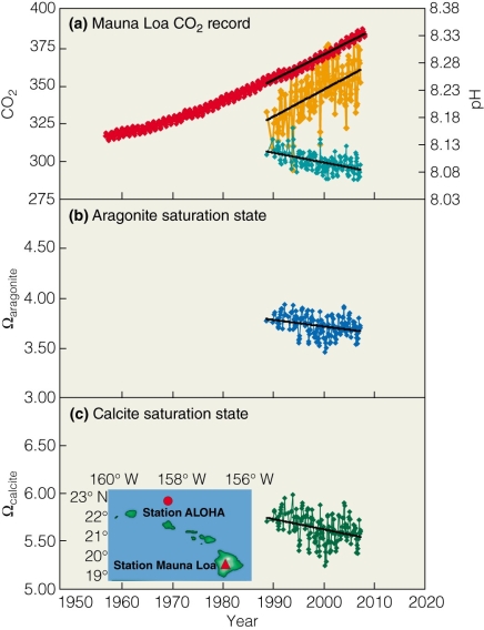 <strong> In panel B of the figure,what might cause the Aragonite saturation state to begin increasing?</strong> A)reduction in ocean acidification B)increased ocean acidification C)increase in CO₂ emissions D)increased fish biodiversity