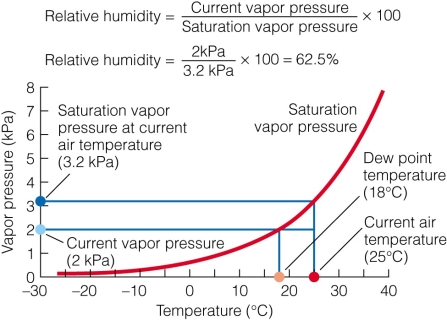 <strong> If the vapor pressure is 1 kPa,what would be the approximate dew point?</strong> A)25°C B)10°C C)18°C D)1°C