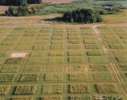 <strong> Experiments done at Cedar Creek Long Term Ecological Research site are ideal for examining concepts at what level?</strong> A)ecosystem B)population C)community D)individual