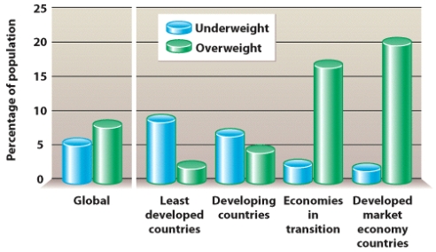 Why are there two major types of malnutrition? What occurs when a population is undergoing nutrition transition?