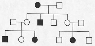 Below is a pedigree of a fairly common human hereditary trait where the boxes represent males and the circles represent females.Shading symbolizes the abnormal phenotype.Given that one gene pair is involved,is the inheritance pattern recessive or dominant