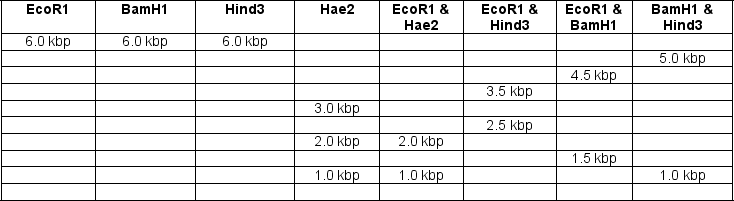 When pASH1 is digested by various restriction enzymes and combinations thereof,the following bands are observed.Construct a restriction enzyme map with this information.