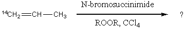 <strong>What product(s)would you expect from the following substitution reaction of <sup>14</sup>C-labeled propene? </strong> A) <sup>14</sup>CH<sub>2</sub>=CH-CH<sub>2</sub>Br alone B) <sup>14</sup>CH<sub>2</sub>=CH-CH<sub>2</sub>Br and CH<sub>2</sub>=CH-<sup>14</sup>CH<sub>2</sub>Br in equal amounts C) CH<sub>2</sub>=CH-<sup>14</sup>CH<sub>2</sub>Br alone D) More <sup>14</sup>CH<sub>2</sub>=CHCH<sub>2</sub>Br but a little CH<sub>2</sub>=CH-<sup>14</sup>CH<sub>2</sub>Br E) More CH<sub>2</sub>=CH<sup>14</sup>CH<sub>2</sub>Br but a little <sup>14</sup>CH<sub>2</sub>=CHCH<sub>2</sub>Br