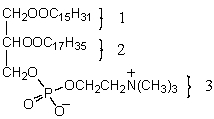 <strong>Consider a micelle composed of phosphatidyl choline,shown below.Which part(s)of the molecule would form the hydrophilic surface of the micelle?  </strong> A) 3 B) 2 C) 1 D) 1 and 2 E) 2 and 3 <div style=padding-top: 35px> 