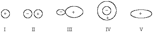 <strong>Select the hybridized atomic orbital. </strong> A)I B)II C)III D)IV E)V