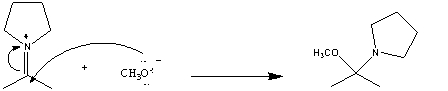 <strong>In the following reaction which chemical species is acting like a nucleophile? </strong> A) B) C)CH<sub>3</sub>O<sup>-</sup> D)two of these choices E)there is no nucleophile in this reaction