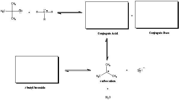 Draw an arrow pushing mechanism to illustrate the formation of t-butyl bromide from t-butanol and draw in the necessary intermediates and products formed.