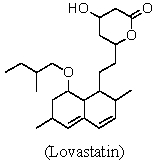 <strong>How many stereogenic centers are there in Lovastatin (Mevacor®,a cholesterol-lowering drug)? </strong> A)4 B)5 C)6 D)7 E)8