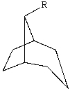 <strong>The substituent R on the bicyclic compound shown is considered to be? </strong> A)axial B)equatorial C)endo D)exo E)trans