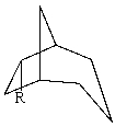 <strong>The substituent R on the bicyclic compound shown is considered to be? </strong> A)axial B)equatorial C)endo D)exo E)Trans