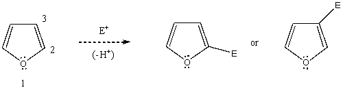 Based on your knowledge of electrophilic aromatic substitution,predict the preferential position of attack of an electrophile on furan,i.e.,does the electrophile E<sup>+</sup> attack carbon 2,or 3? Explain your answer. Which substitution product forms preferentially and why?