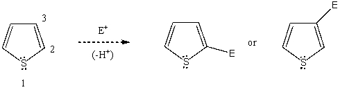 Based on your knowledge of electrophilic aromatic substitution,predict the preferential position of attack of an electrophile on thiophene,i.e.,does the electrophile E<sup>+</sup> attack carbon 2,or 3? Explain your answer. Which substitution product forms preferentially and why?