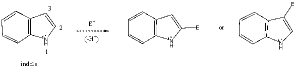Based on your knowledge of electrophilic aromatic substitution,and assuming the pyrrole ring of indole (shown)is activated toward electrophilic aromatic substituted more so than the benzenoid ring,predict the preferential position of attack of an electrophile,i.e.,does the electrophile E<sup>+</sup> attack carbon 2,or 3? Explain your answer. Which substitution product forms preferentially and why?