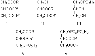 <strong>Which of the following is a phosphatidic acid? </strong> A)I B)II C)III D)IV E)V