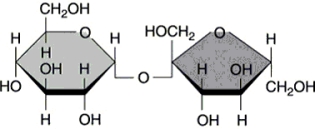 <strong> What type of molecule is shown in Figure 2.2?</strong> A) disaccharide B) amino acid C) monosaccharide D) phospholipid E) fatty acid