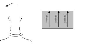 <strong>refer to the artwork below. In the drawing on the left, box E is best described as</strong> A)a building block problem. B)a unique problem. C)a cosmetic solution. D)a quick fix. E)an opportunity.