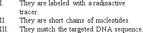 <strong>What are the properties of DNA probes? </strong> A) I and II B) II and III C) I only D) I, II, and III E) III only