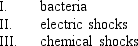 <strong>Researchers introduce DNA into plants by using </strong> A) I only B) II only C) III only D) II and III E) I, II, and III