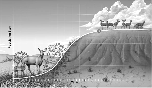 Examine the figure above and answer the following question(s). -During the third phase 3,the population growth slows and then levels off because