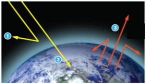 <strong>In this figure,what do the yellow arrows marked #1 and #2 indicate? </strong> A)light energy B)heat energy C)greenhouse gases D)atmospheric gases E)carbon dioxide