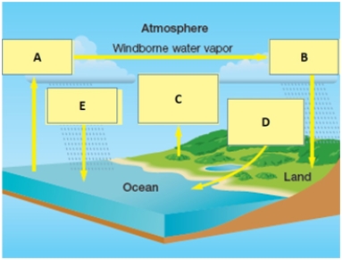 Examine the figure below of the water cycle.Match each term with the concept to which it best corresponds. a.A b.B c.C d.D e.E surface and groundwater flow